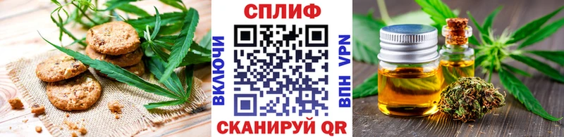 OMG tor  Нефтекумск  Печенье с ТГК конопля 
