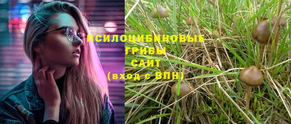 дурь Белокуриха